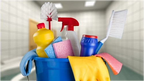 Professional carpet cleaning in a living room