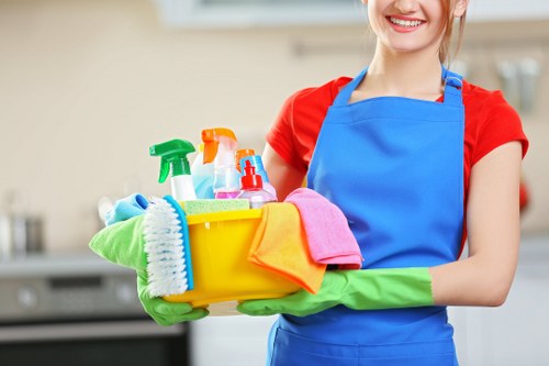 Home cleaning routine with tidy surfaces and fresh living space