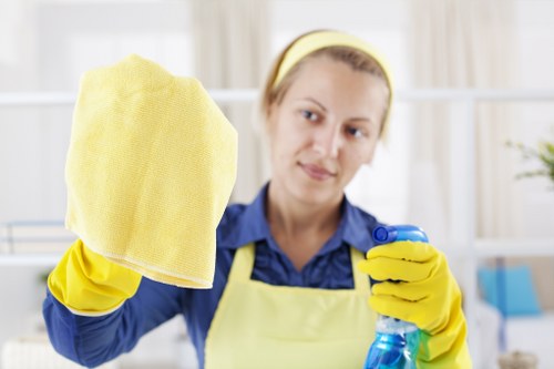 DIY oven cleaning supplies and methods