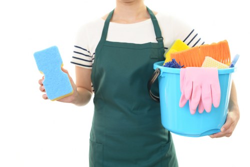 Kitchen deep cleaning with focus on appliances and counters