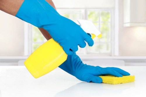 Professional window cleaning on a residential property