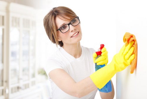 Thorough deep cleaning in a local property
