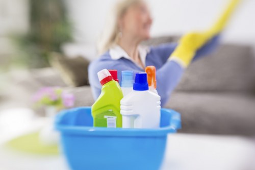 Steam cleaning equipment for carpet maintenance
