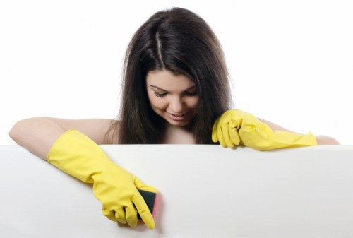Professional bathroom sanitizing for move in cleaning in Tampa