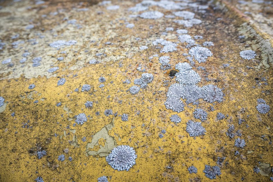 Close-up view of weathered, grey concrete roof tiles with visible moss and algae growth, arranged in overlapping rows. Some tiles have lichen or dirt deposits, indicating outdoor exposure and the need